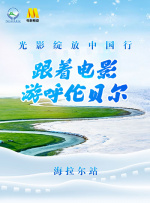 欧美91大片